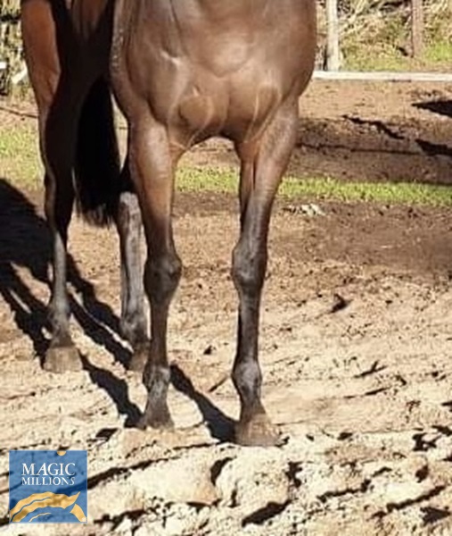 0AB58EEB-9901-4673-8ADD-ADF12FB9FC80.jpg - Image 4