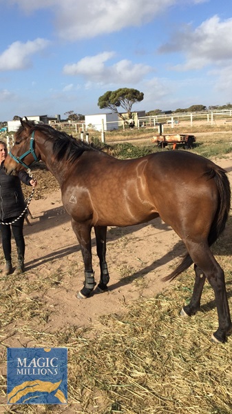 Portrait of Macie.jpg - Image 4