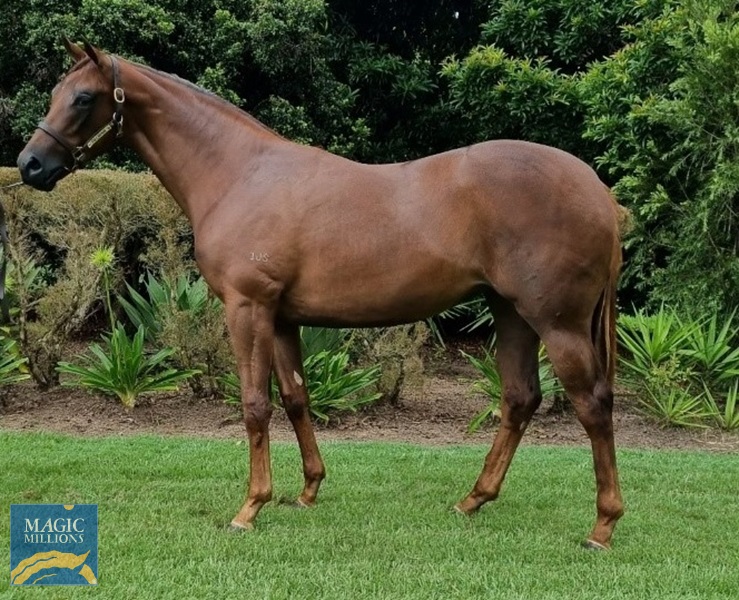 1652851362872_kufcb.jpg - Image 1