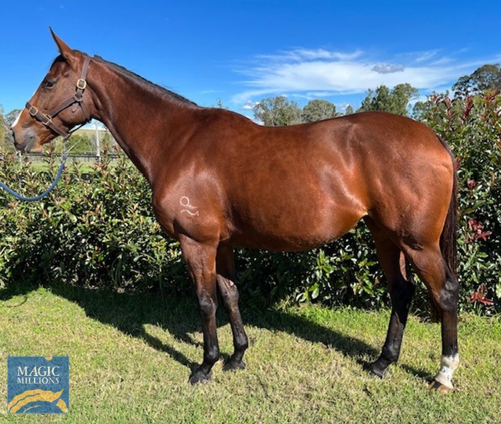 LIlac Venice - Body Shot..jpg - Image 1