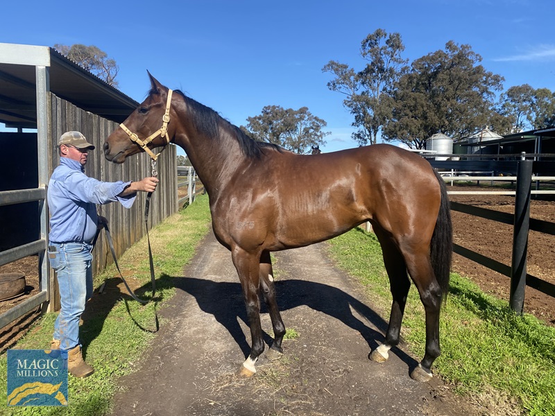 BEEA027D-08CD-4846-8D29-0D59171F84A4.jpg - Image 1