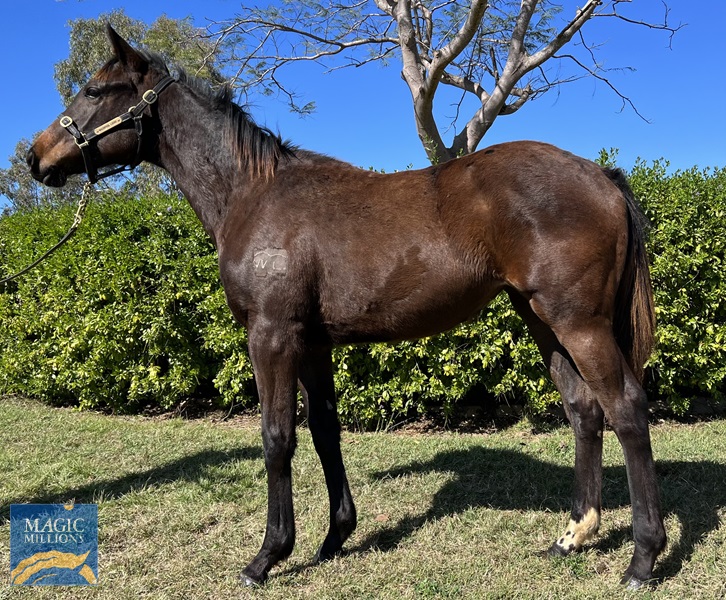 WeChat Image_20220726142810.jpg - Image 1