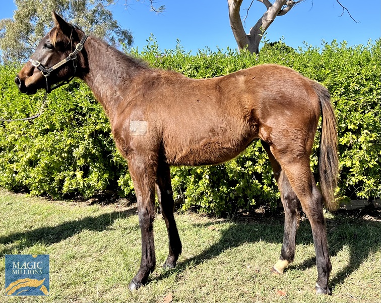 WeChat Image_20220726142720.jpg - Image 1