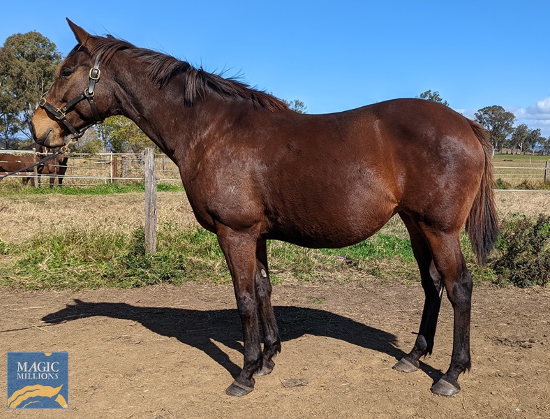 PXL_20220724_025620217.jpg - Image 1