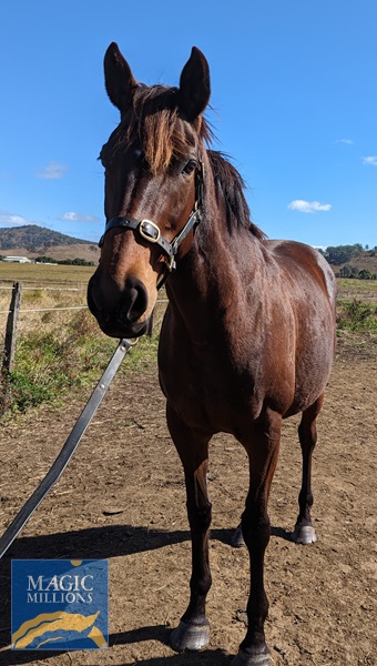 PXL_20220724_025632902.jpg - Image 2