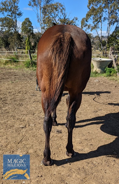 PXL_20220724_025653934.jpg - Image 3