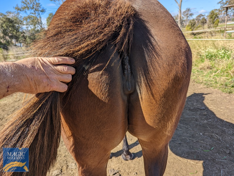 PXL_20220724_025649254.jpg - Image 4