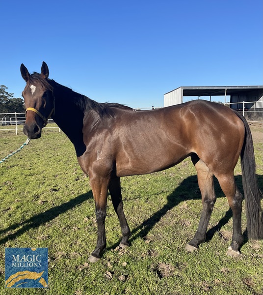 IMG_2625.jpg - Image 1