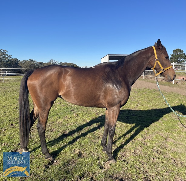 IMG_2629.jpg - Image 2