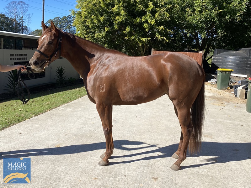 tempImagegzyrVT.jpg - Image 1