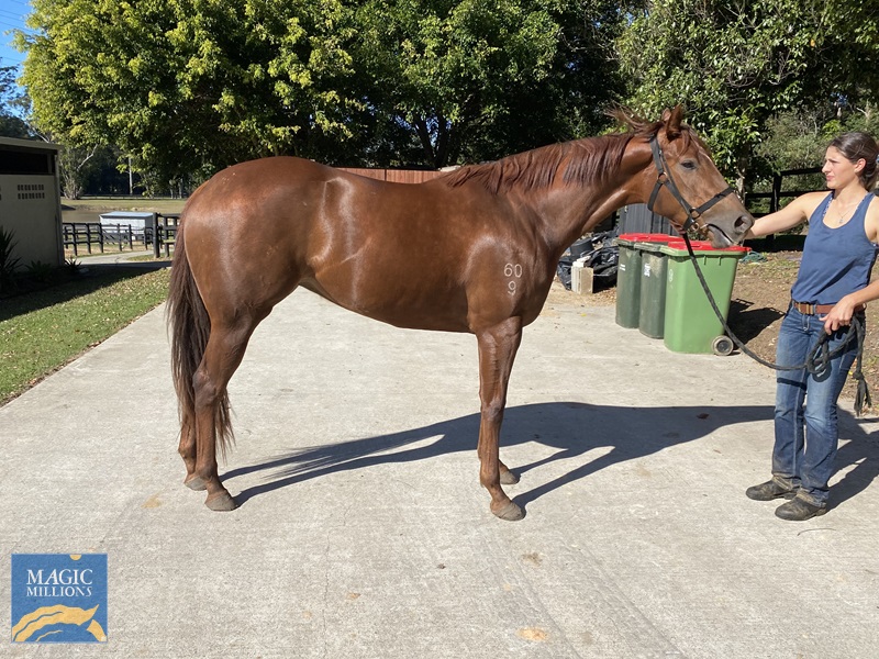 tempImageSc5Qun.jpg - Image 2