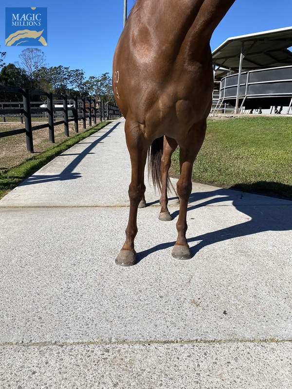 tempImages4WghT.jpg - Image 3