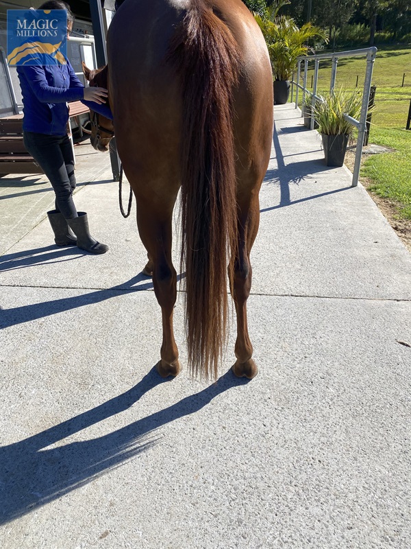 tempImageNqv2UO.jpg - Image 4