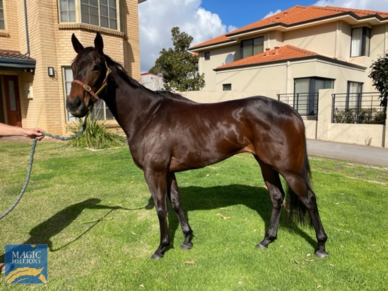 GOLDEN LULLABY 1.jpg - Image 1