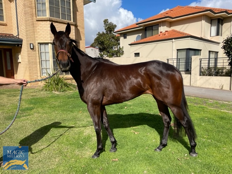 Golden Lullaby 2.jpg - Image 2