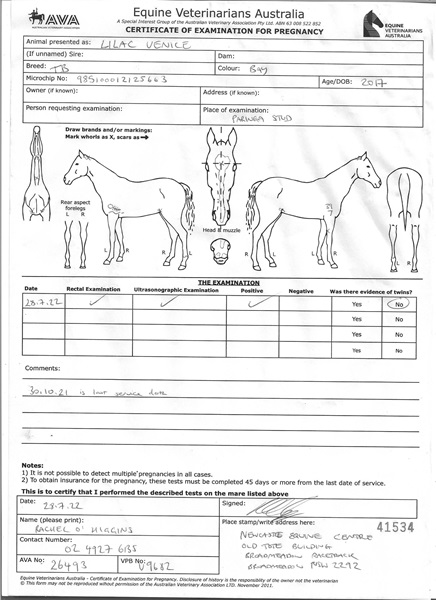 Pregnancy Certificate