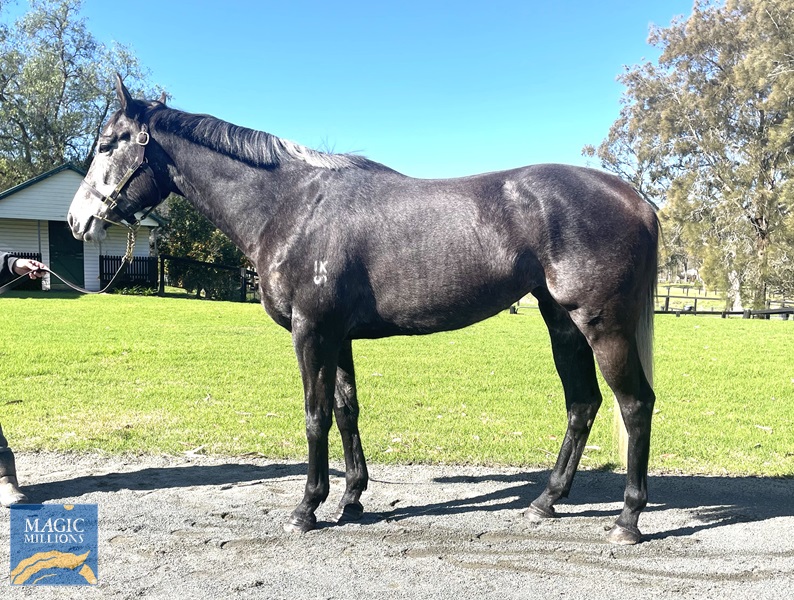 CONFIRMATION3.jpg - Image 1