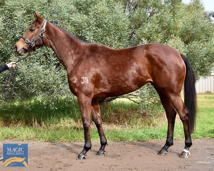 image0 (4).jpg - Image 1