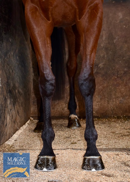 image1 (2).jpg - Image 2