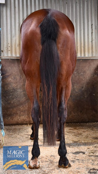 image2.jpg - Image 3