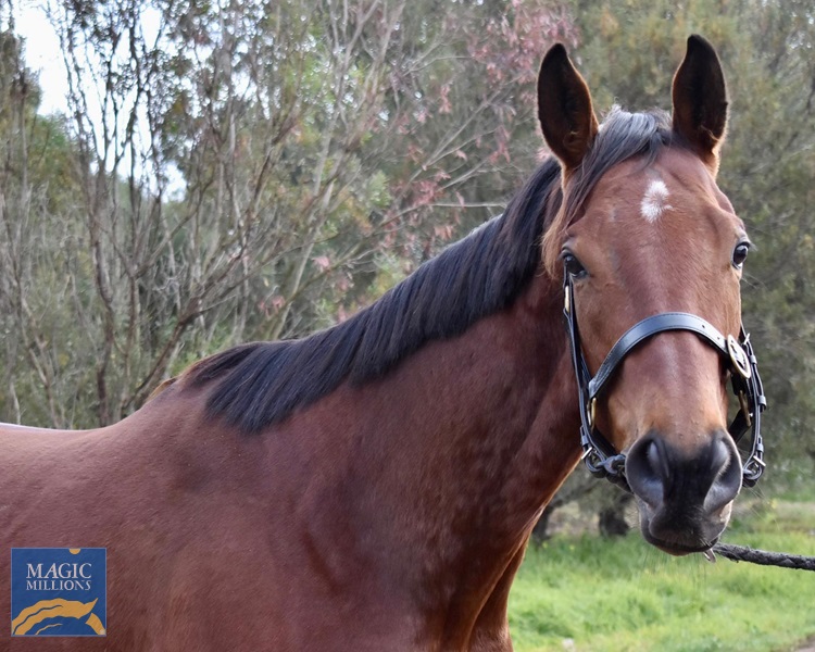 image3.jpg - Image 4