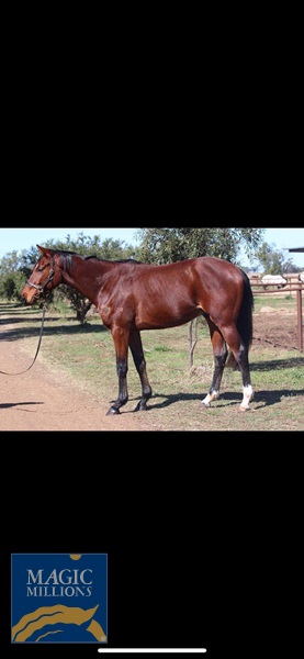 1C79A31B-5486-49FC-B2DF-B177D2B05F2C.jpg - Image 1