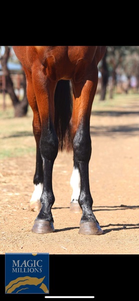 BA90DB75-B346-49F7-A931-F01473233EC8.jpg - Image 2