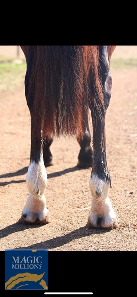 8F2F165D-12D0-4CB4-8FE7-EAFEC07BAA21.jpg - Image 3