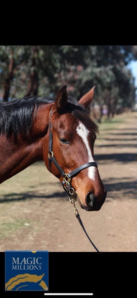 F8F18B28-590A-4682-82E0-CAD875AEB8C0.jpg - Image 4