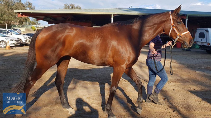 PHOTO-2019-06-29-13-21-26.jpg - Image 4