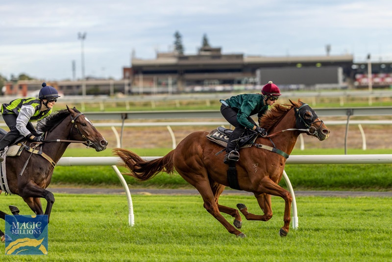 BULGARIA.jpg - Image 1