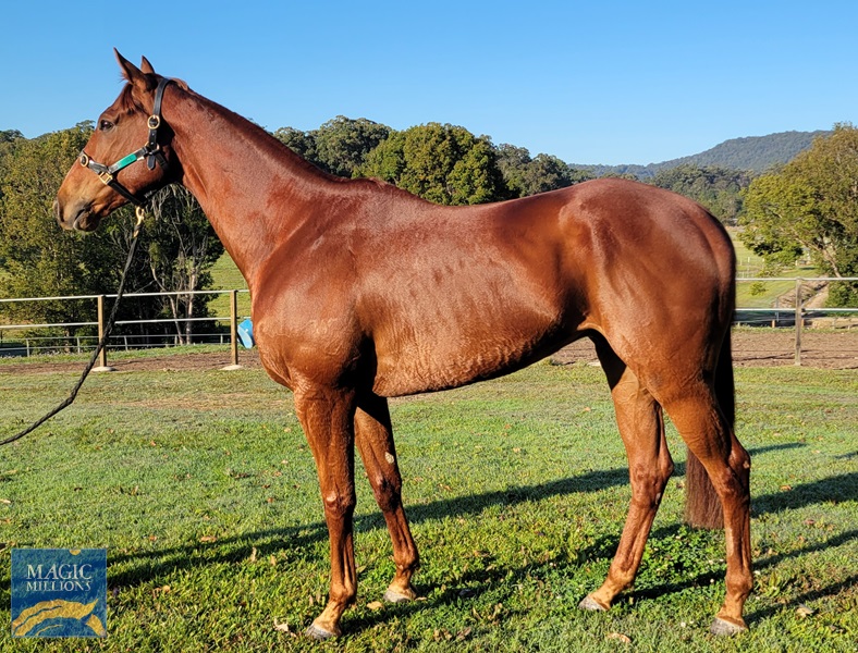 20220821_073743(0).jpg - Image 1