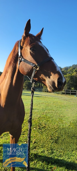 2022-08-30 19_14_35.870+1000.jpg - Image 2