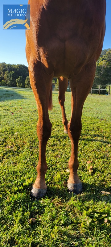 20220821_073822.jpg - Image 3