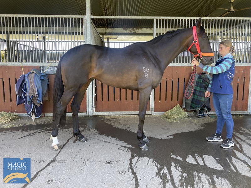 WeChat Image_20220831104612.jpg - Image 1