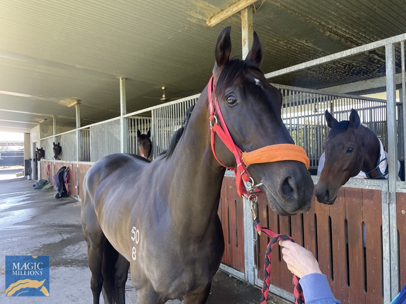 WeChat Image_20220831104632.jpg - Image 2