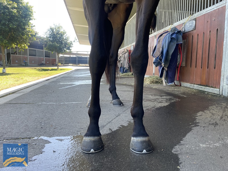 WeChat Image_20220831104638.jpg - Image 3