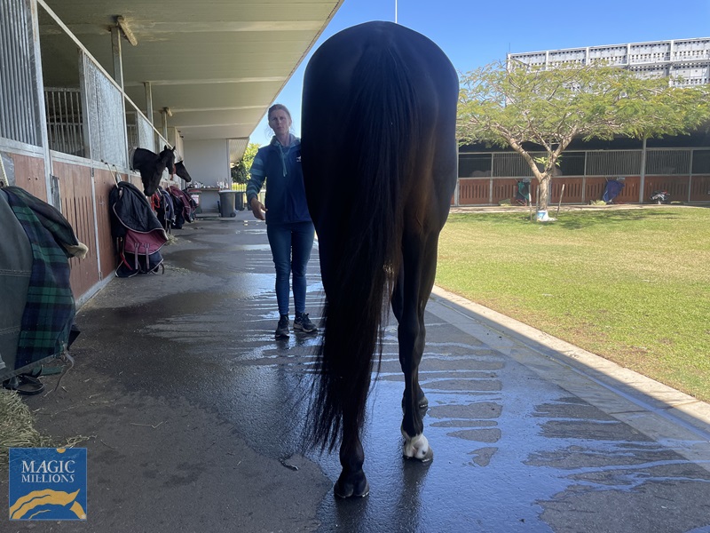 WeChat Image_20220831104643.jpg - Image 4