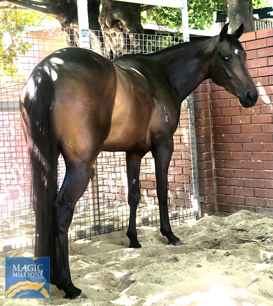 B332574F-E893-4AAE-8485-CC6BB2D088B8.jpg - Image 1