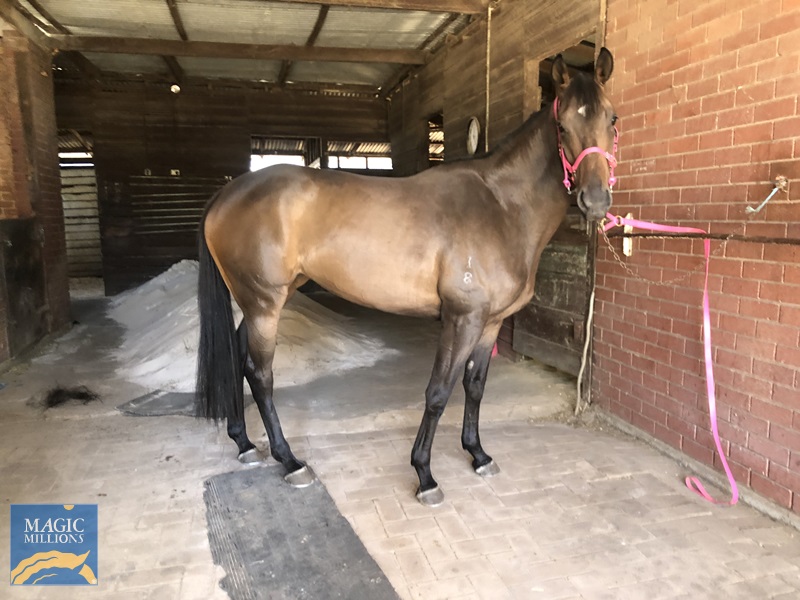 9D39CBCC-96DB-437A-9B4F-562D3B0F6D0C.jpg - Image 2