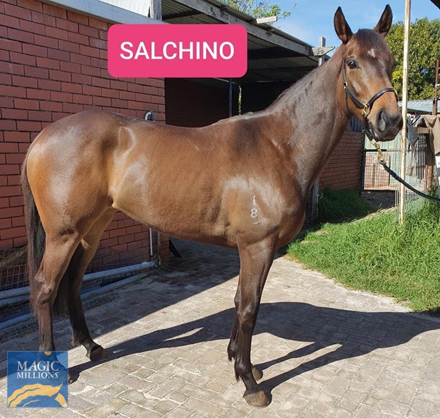 AE7CF6D0-28F3-412B-A941-86D86F154C81.jpg - Image 3