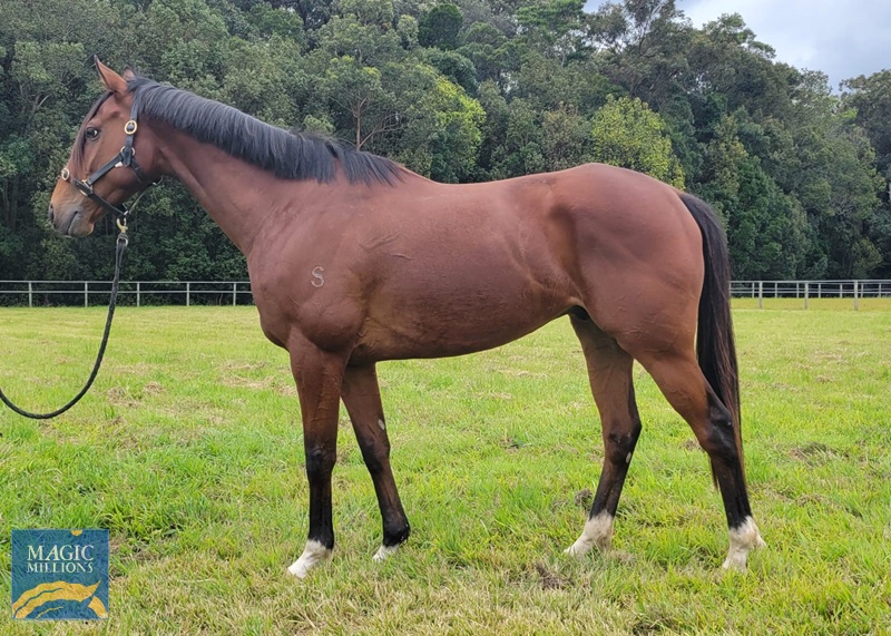 rapaport.jpg - Image 1