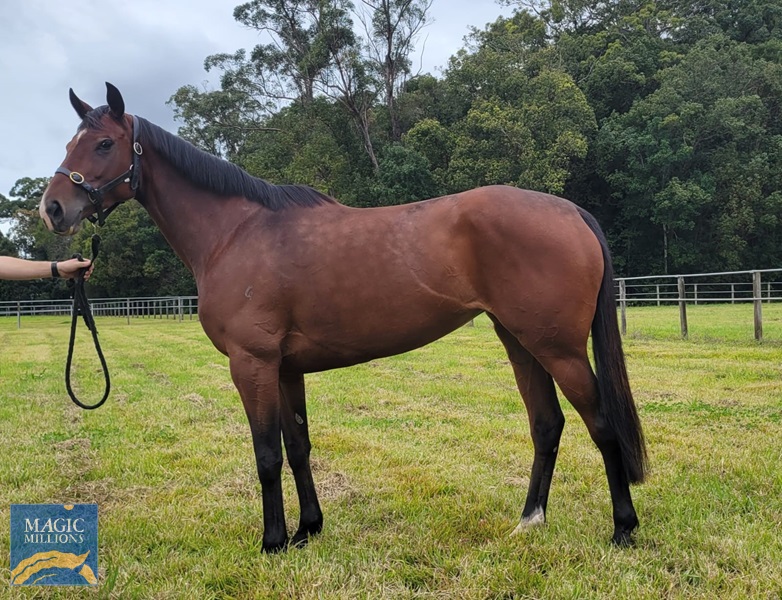 wheels.jpg - Image 1