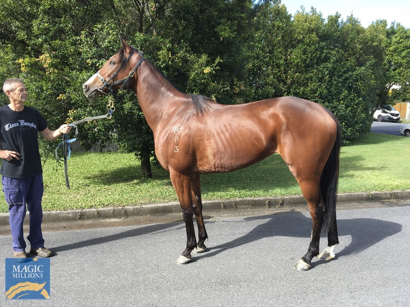 476B7466-FC21-46F2-8FDF-CDF1F68F0EED.jpg - Image 2