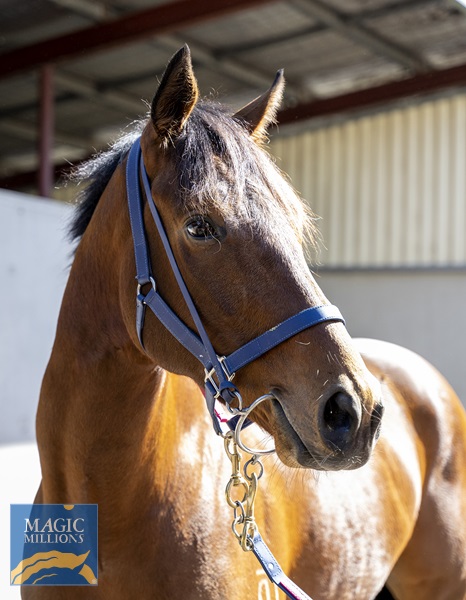 Napa Valley_Head.jpg - Image 2