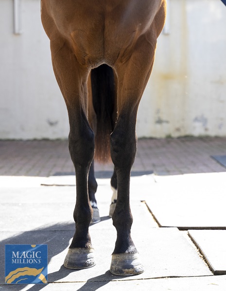 Napa Valley_Front.jpg - Image 3