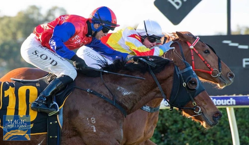 5C769D92-CAEA-48BC-86B7-86AAD3A06C9A.jpg - Image 1