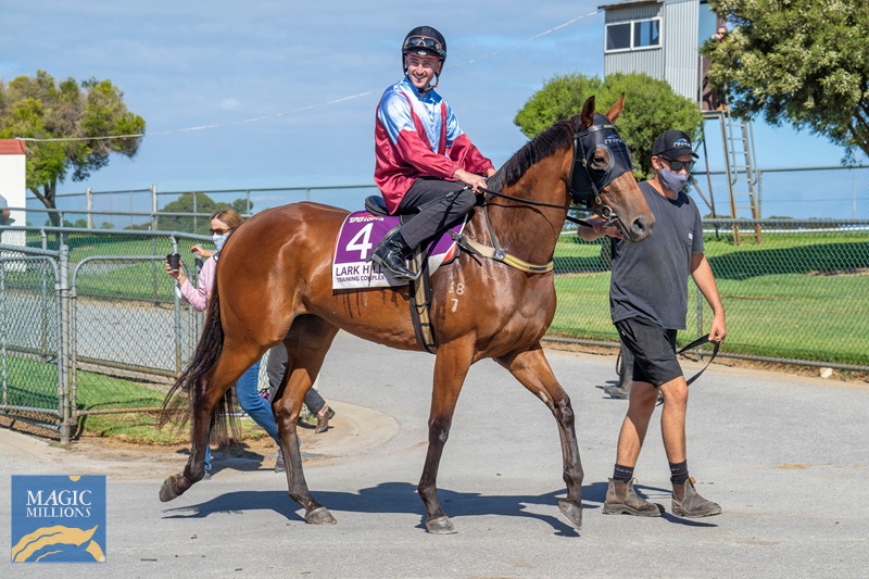 5E1F7CBD-F812-45B0-9922-66C425859291.jpg - Image 3