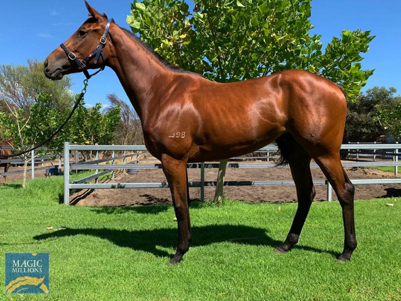 D188230D-2FFE-4F3F-B5D6-12080D9B6711.jpg - Image 4