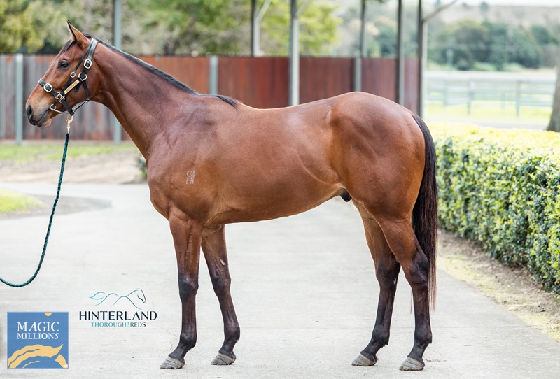 31.8 souiss.jpg - Image 1